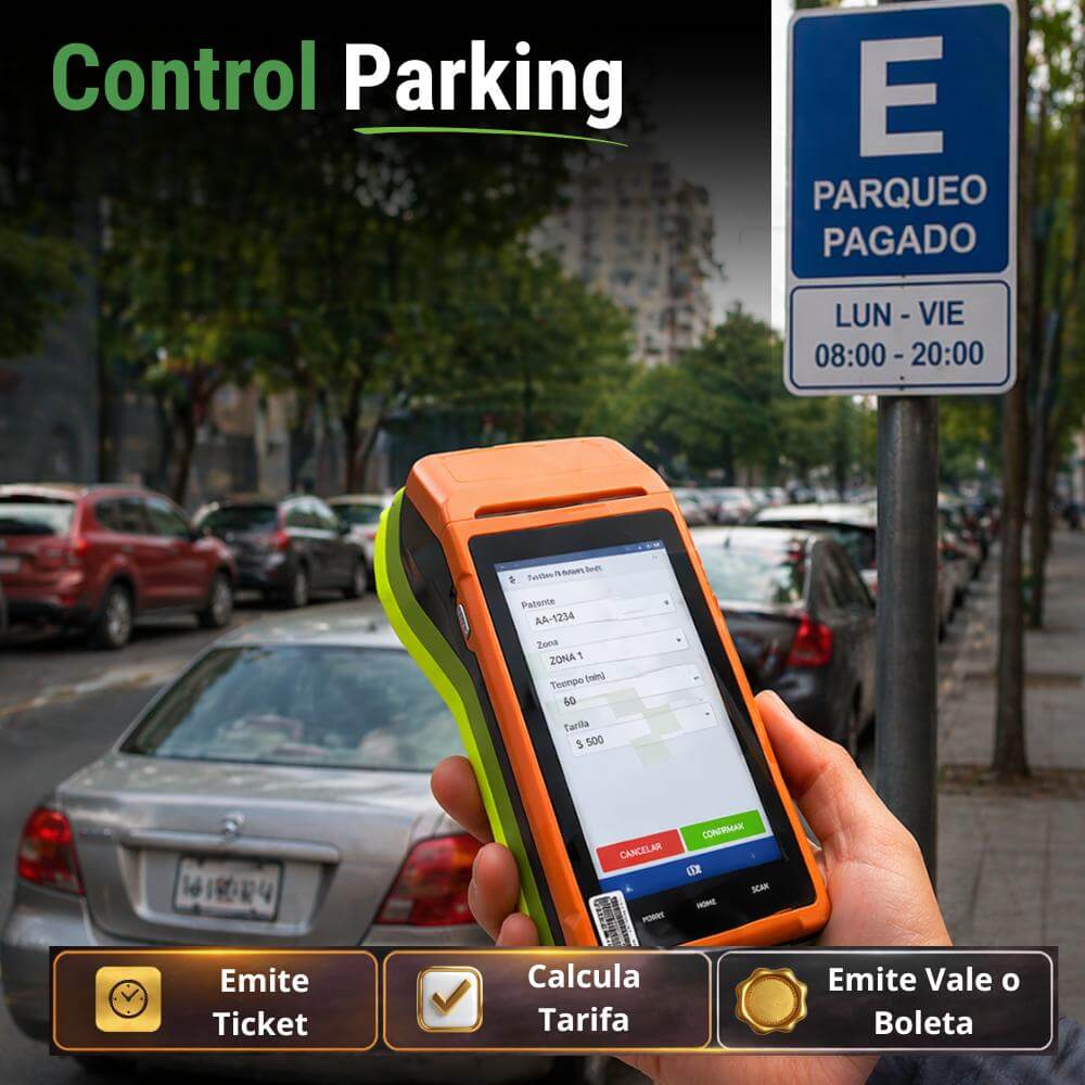 Vista del software de Control parking